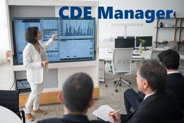 CDE Manager (Ruolo BIM)